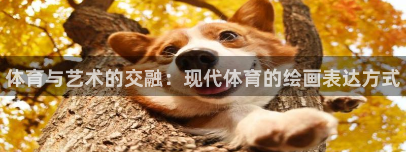 米兰体育：体育与艺术的交融：现代体育的绘画表达方式