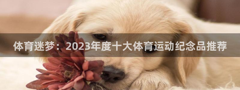 米兰体育报：体育迷梦：2023年度十大体育运动纪念品推荐