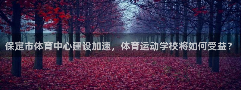 米兰体育网页版：保定市体育中心建设加速，体育运动学校将如何受益？