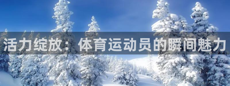 米兰体育官网入口