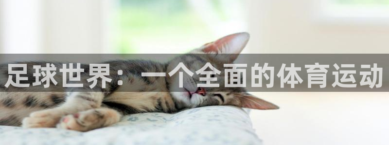 米兰体育网页版