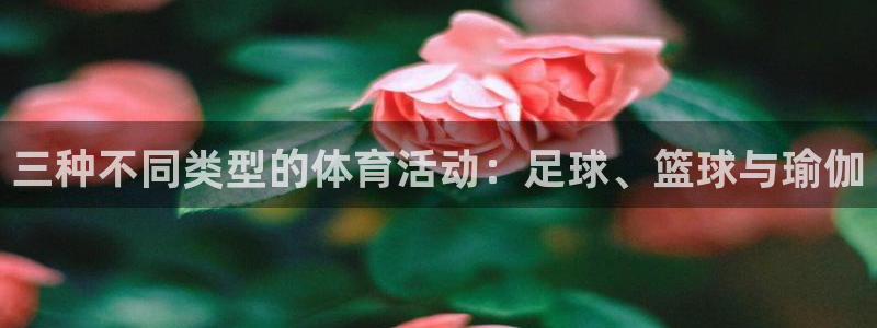 米兰体育在线：三种不同类型的体育活动：足球、篮球与瑜伽