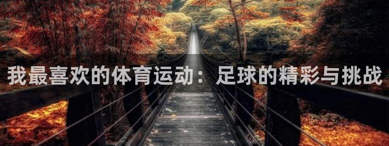 米兰体育报官网：我最喜欢的体育运动：足球的精彩与挑战