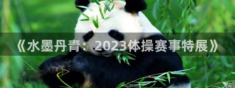 米兰体育网址：《水墨丹青：2023体操赛事特展》