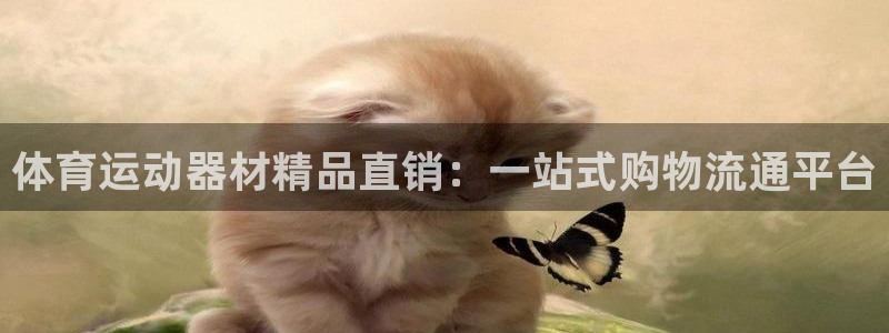 米兰体育网页版登录：体育运动器材精品直销：一站式购物流通平台